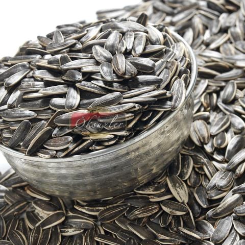 Ay Çekirdeği Dakota Tuzsuz